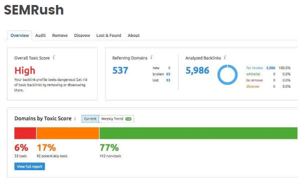 SemRush report page screenshot