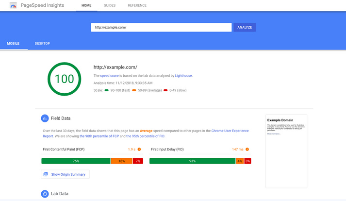 Pagespeed Insights Screenshot